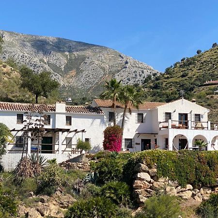 Cortijo Las Palmeras El Chorro Álora Zewnętrze zdjęcie
