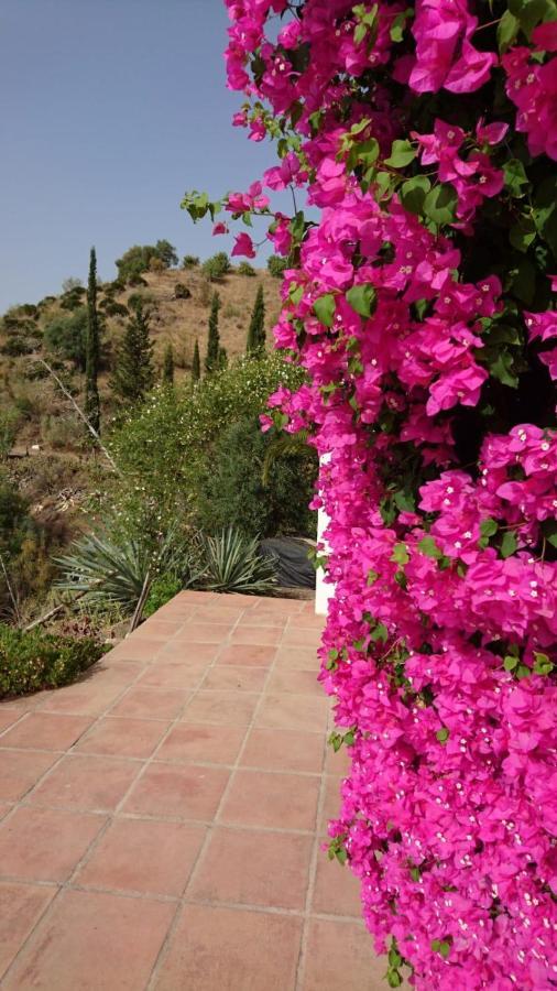 Cortijo Las Palmeras El Chorro Álora Zewnętrze zdjęcie