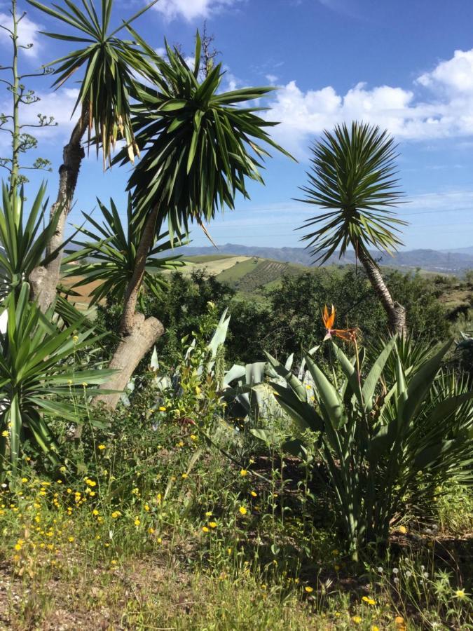 Cortijo Las Palmeras El Chorro Álora Zewnętrze zdjęcie